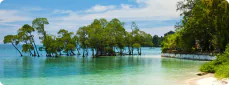 Island Getaways